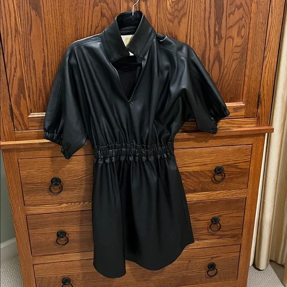 Emily McCarthy Palmer Dress - Picture 9 of 14